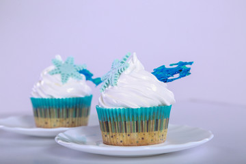 Two cupcakes with light blue snowflakes