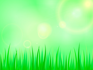 Fototapeta na wymiar Green grass background. Vector illustration for poster or banner