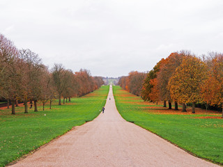 Beautiful gravel and sand road in the center of picture, green grass and orange pine tree on the left and right side. Landscape of Autumn season.