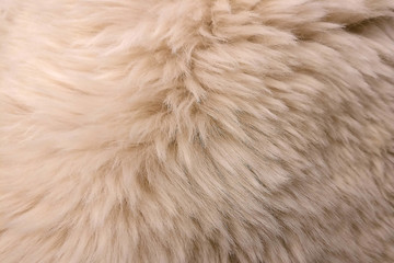 Beige wool texture with long hair, background