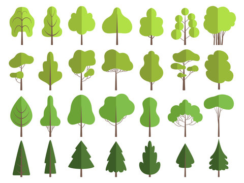 Flat green trees. Nature plants clean shaping forms vector collection isolated. Illustration tree and plant green, nature environment