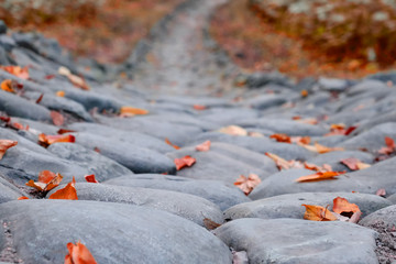 Background stone path going down, autumn landscape