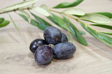 Olives. Served with some types of dish