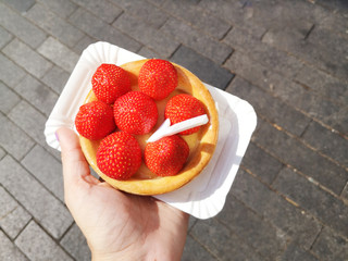 Fototapete bei efototapeten.de bestellen   