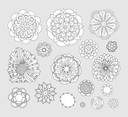 Set of vector illustration with the image of decorative flowers, branches and herbs. Great design for any purpose.