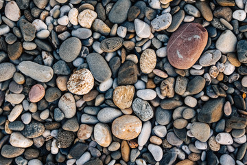 Gravel pattern of wet colored stones. Abstract nature pebbles background. Stone background. Sea peblles beach. Top view