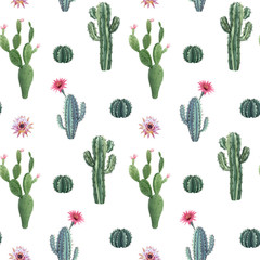 Beautiful watercolor cactus seamless pattern. Hand drawn stock illustrations. White background. © Zenina-Lembrik