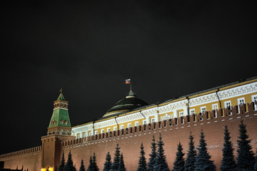 Fototapeta premium trees in front of the Kremlin wall in Red Square. Moscow Russia
