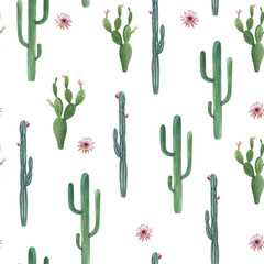 Beautiful watercolor cactus seamless pattern. Hand drawn stock illustrations. White background.