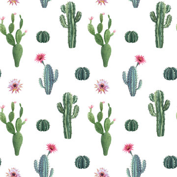 Beautiful watercolor cactus seamless pattern. Hand drawn stock illustrations. White background.