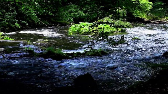 Wildfluss in felsigem Flussbett in einem Canyon mit Urwald im Bodetal im Harz