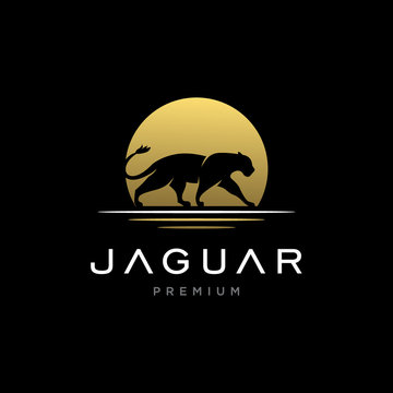 Jaguar / Cheetah / Lion logo design