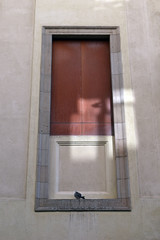 Pigeon Sitting on Ledge of Large Blank Stone Window with Reflection 3572-039
