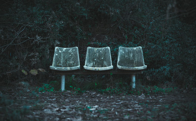 Creepy old bench in the forest.