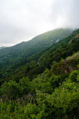 Fototapeta na wymiar Mountains in Auvergne, France