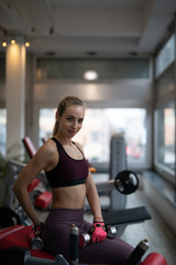 Fototapeta premium Frau im Fitnessstudio beim Sport machen