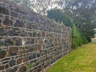 stone wall nature