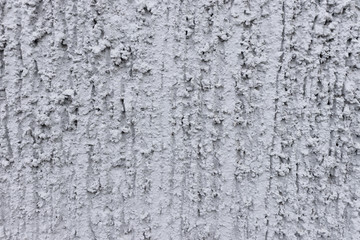 Texture of old weathered wall