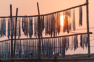 Sun rises above drying fish at Dublar Char (Dubla island), Bangladesh.