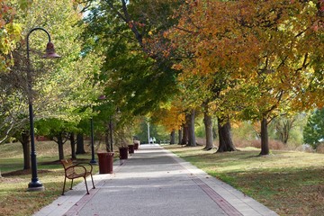 The long walk in the park on a sunny autumn day.