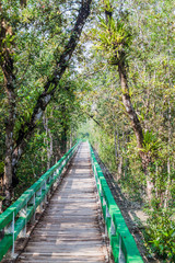 Fototapeta na wymiar Boardwalk in Harbaria eco park in Sundarbans, Bangladesh