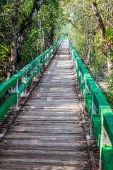 Obraz premium Boardwalk in Harbaria eco park in Sundarbans, Bangladesh