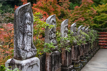 Rows of Buddha statues  in Daisho-in temple on the island of Miyajima against colorful foliage.