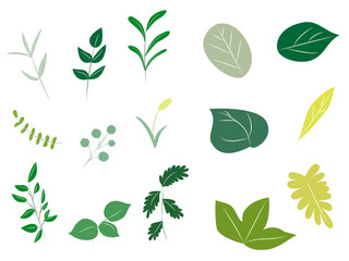 緑の植物のイラストセット