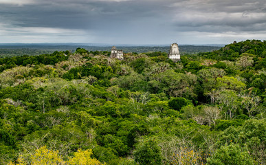 Pyramid temples in Tikal, Guatemala, an ancient Mayan city in ruins surrounded by dense jungle.