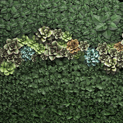 vertical gardening Echeveria and Succulents