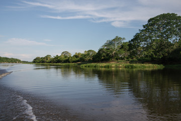Fototapeta na wymiar Pantanal wetlands landscape in Brazil
