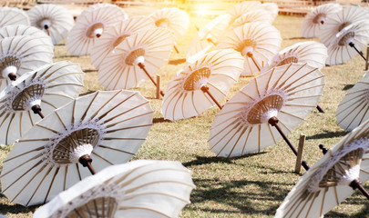 Beautiful umbrellas are on the ground neatly lined up in a direction, selectively focused