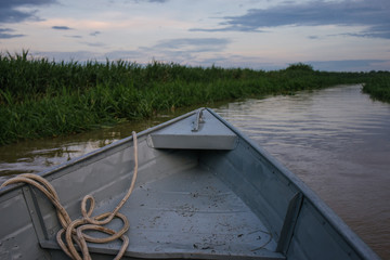 Fototapeta na wymiar Passeio de barco no Pantanal, Mato Grosso do Sul, Brasil