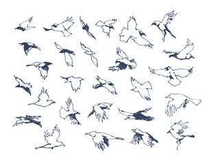 Figure the ravens handle. Vector illustration.