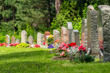 Curved row of grave stones with red and pink flowers - obrazy, fototapety, plakaty