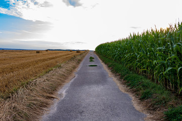 Empty road in rural agricultural landscape against cloudy sky with diminishing perspective in summer in Möckmühl, Germany