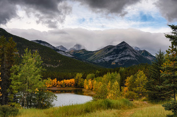 Rocky mountain in autumn forest on gloomy day