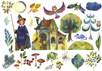 Set of fairytale illustrations of the magic forest.Sorceress, ingredients for the potion - plants, mushrooms, berries and animals -frog, mouse, owl, bat, witch house.Suitable for books,games,Halloween