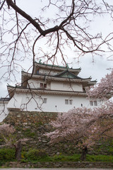 Travel Osaka Garden Sakura Spring 66