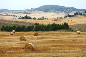 Hay rolls in Tuscany