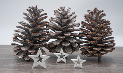 white stars with pine cones at winter time