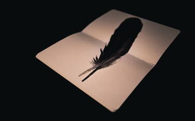 Feather on  notebook