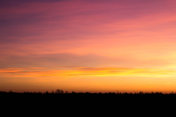 Sunset over the forest, red, yellow, purple clouds