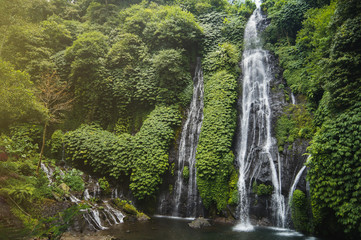 Naklejka na ściany i meble Beautiful waterfall in Bali in its ecosystem in green