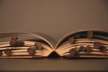 old book pages with dried flowers between