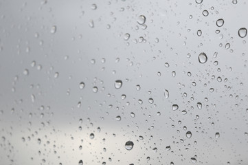 Drops of rain on the window