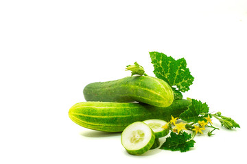 Fresh Cucumber and slices isolated on a white background
