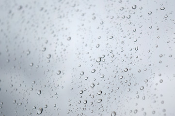 Drops of rain on the window