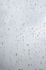 Drops of rain on the window