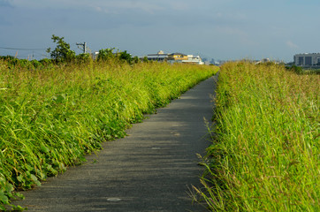 猪名川河川敷・土手道